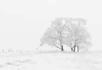 snow