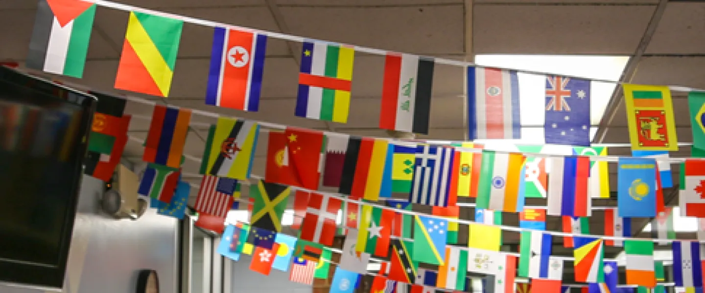 welcoming week flags
