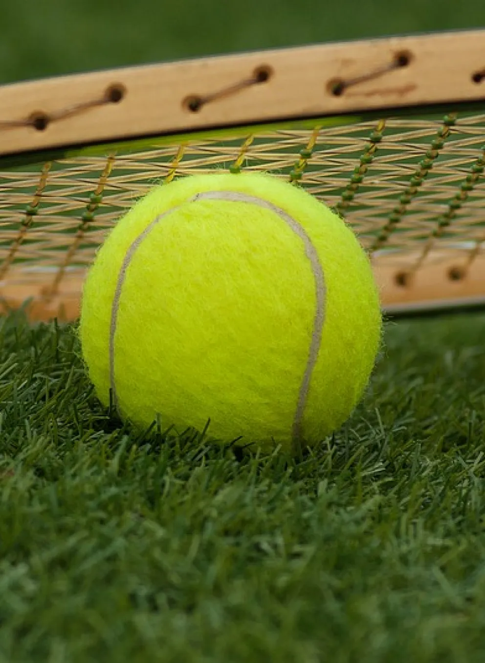 tennis racket and ball