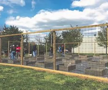 community garden